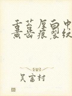 舌苔厚白中间有黄齿痕裂纹