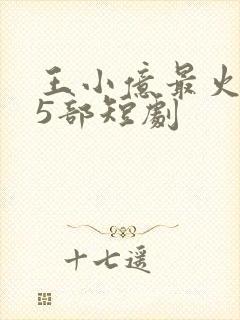 王小亿最火的15部短剧