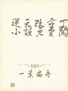 逆天改命丁公子小说免费阅读