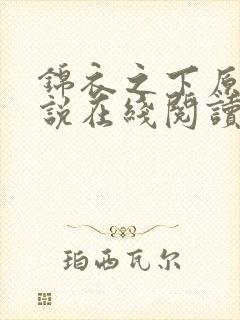 锦衣之下原著小说在线阅读封面