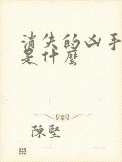 消失的凶手结局是什么封面