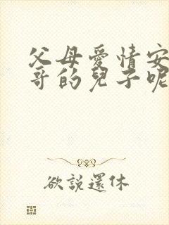 父母爱情安杰大哥的儿子呢封面