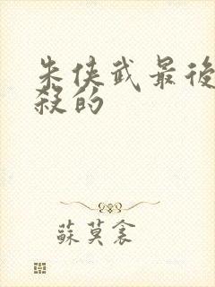 朱侠武最后被谁杀的