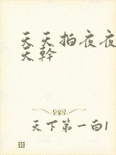 天天拍夜夜操天天干