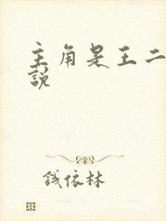 主角是王二的小说封面