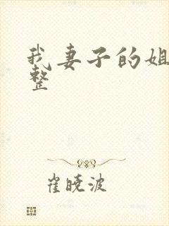 我妻子的姐姐完整封面