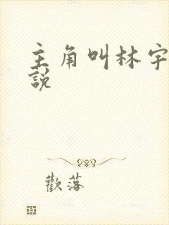 主角叫林宇的小说