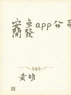 安卓app公司开发