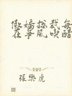 傲娇总裁每天都在争风吃醋