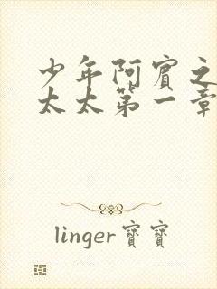 少年阿宾之房东太太第一章在线视频