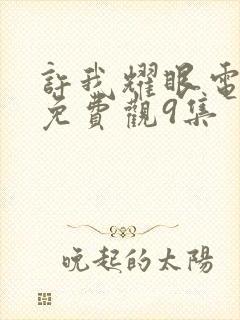 许我耀眼电视剧免费观9集封面