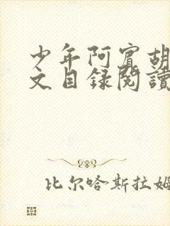 少年阿宾胡太全文目录阅读在线