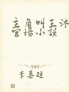 主角叫王沐阳的官场小说