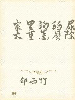 家里狗的尿骚味太重怎么除