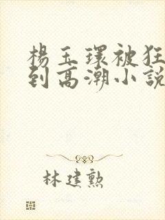 杨玉环被狂躁c到高潮小说封面