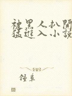 被黑人扒开双腿猛进入小说