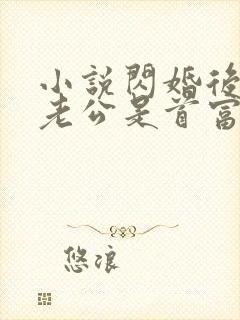 小说闪婚后发现老公是首富