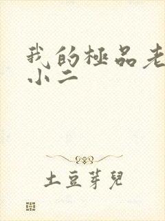 我的极品老婆 小二封面