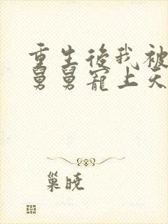 重生后我被渣男舅舅宠上天短剧全集封面