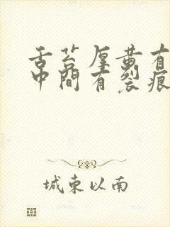 舌苔厚黄有齿痕中间有裂痕