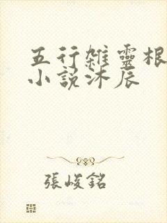 五行杂灵根修仙小说沐辰