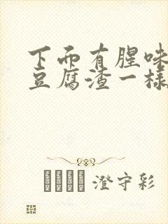 下面有腥味白带豆腐渣一样