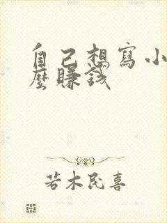 自己想写小说怎么赚钱