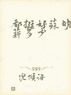 都挺好苏明玉年薪多少