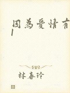 因为爱情有多美1