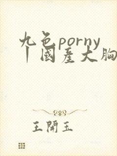 九色porny丨国产大胸