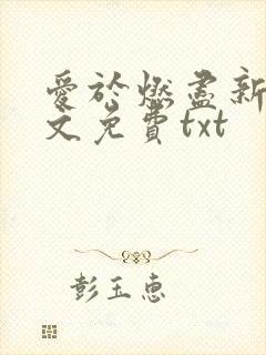 爱于燃尽新生全文免费txt