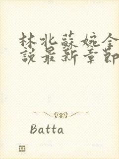 林北苏婉全本小说最新章节