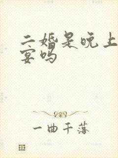 二婚是晚上办婚宴吗封面