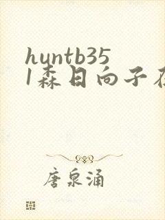 huntb351森日向子在线播放