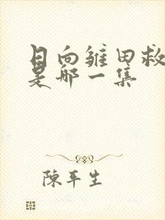 日向雏田救鸣人是哪一集封面