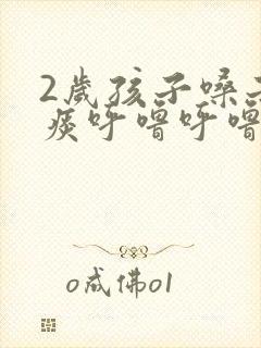 2岁孩子嗓子有痰呼噜呼噜的怎么办封面