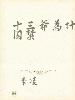 十三爷为什么被囚禁封面