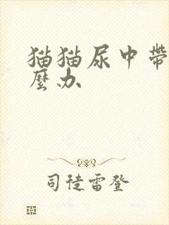 猫猫尿中带血怎么办