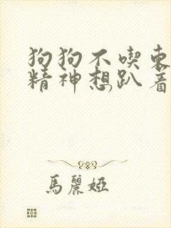 狗狗不吃东西没精神想趴着只喝水