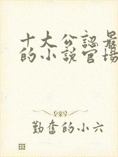 十大公认最好看的小说官场