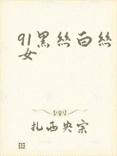 91黑丝白丝美女
