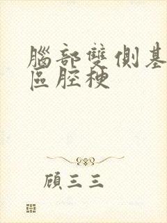 脑部双侧基底节区腔梗封面