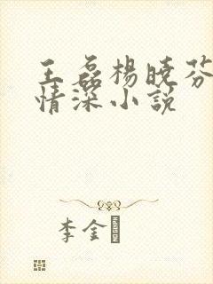 王磊杨晓芬后妈情深小说