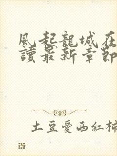 风起龙城在线阅读最新章节封面