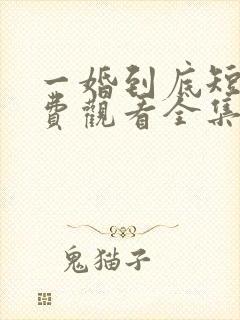 一婚到底短剧免费观看全集高清