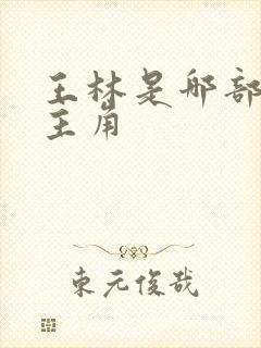 王林是哪部小说主角