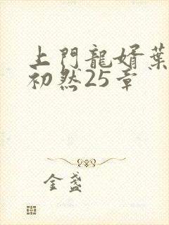 上门龙婿叶辰萧初然25章