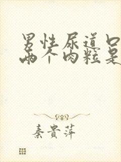 男性尿道口长了两个肉粒是怎么回事