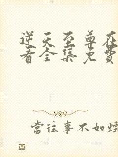 逆天至尊在线观看全集免费观看动漫