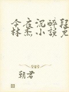 今夜沉醉段雪娇林杰小说免费阅读封面